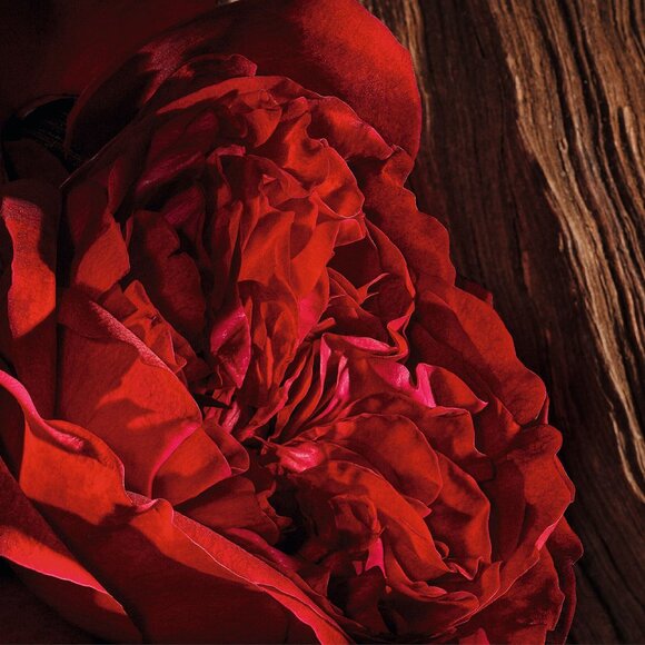 🌺 Christian Dior 🌺 Oud Ispahan Liquid Hand and Body Soap, 350 mL - Picture 3 of 12